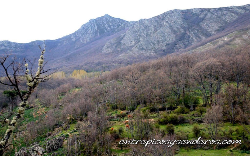 Vistas de La Hiruela