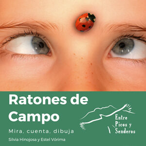 Producto Taller Ratones de Campo