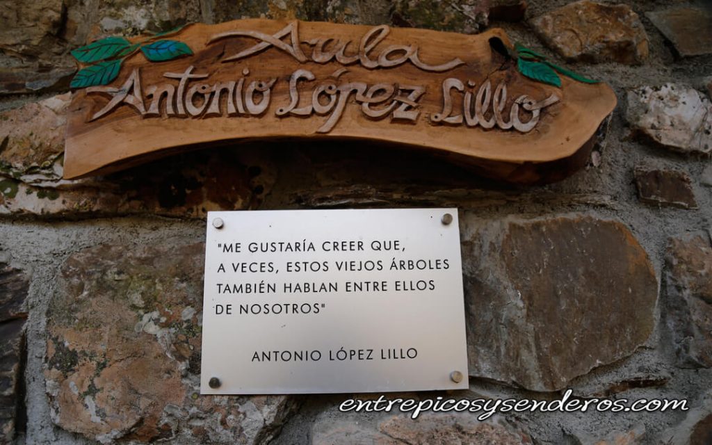 Hayedo de Montejo Sierra del Rincón