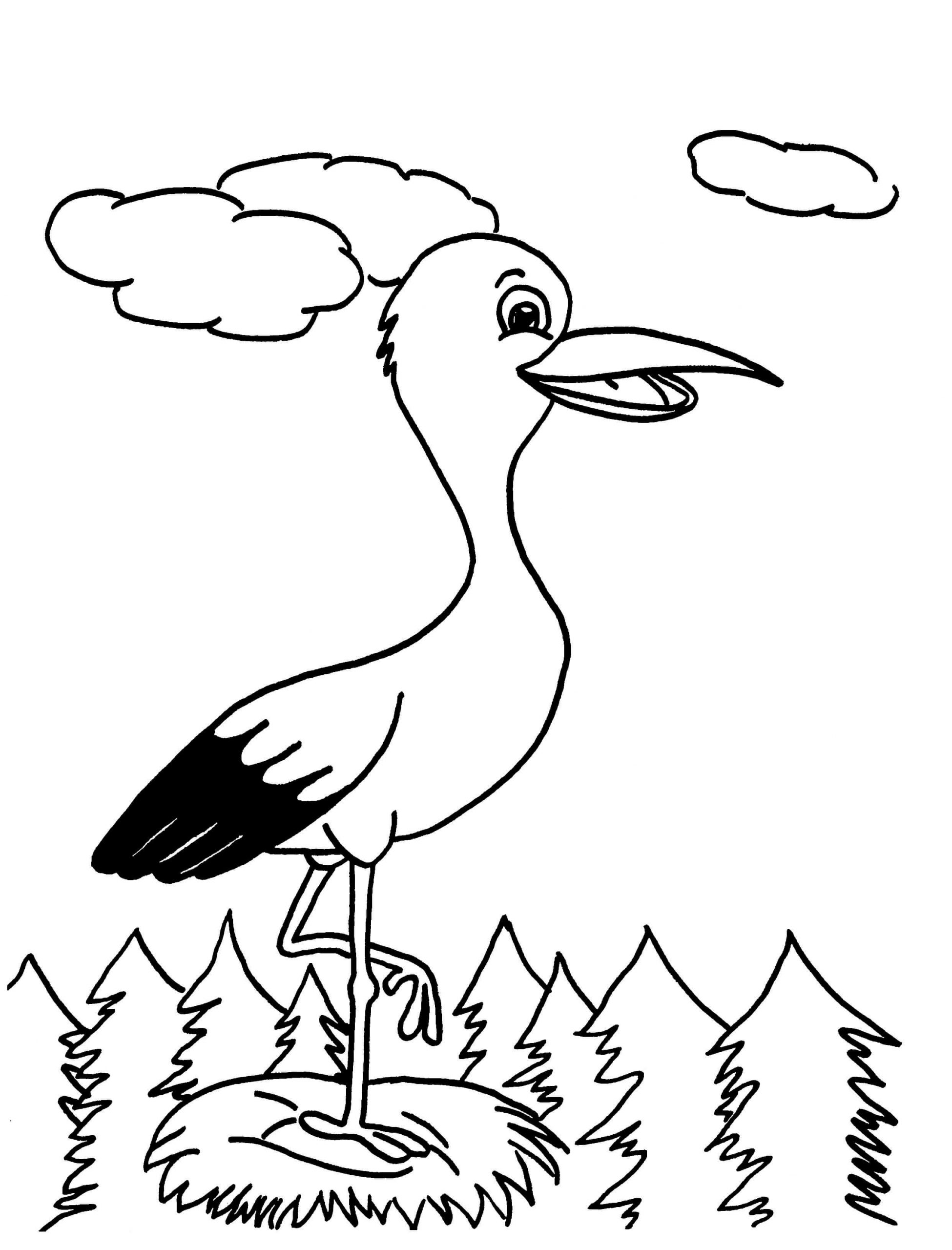Cigüeña blanca